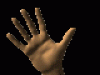 Animations - 323